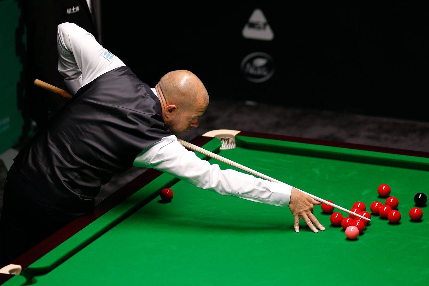 够拔高整支 够拔高整支