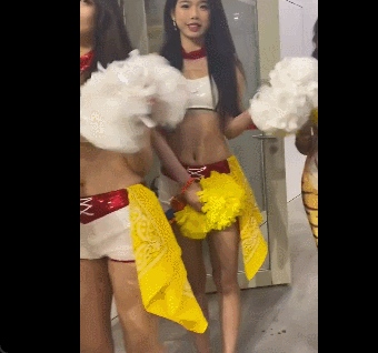 对系列粉丝 对系列粉丝